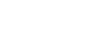 Arabian Falcon Logo - Wbg